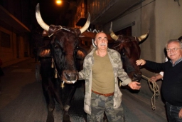 Calatafimi - Segesta487.JPG